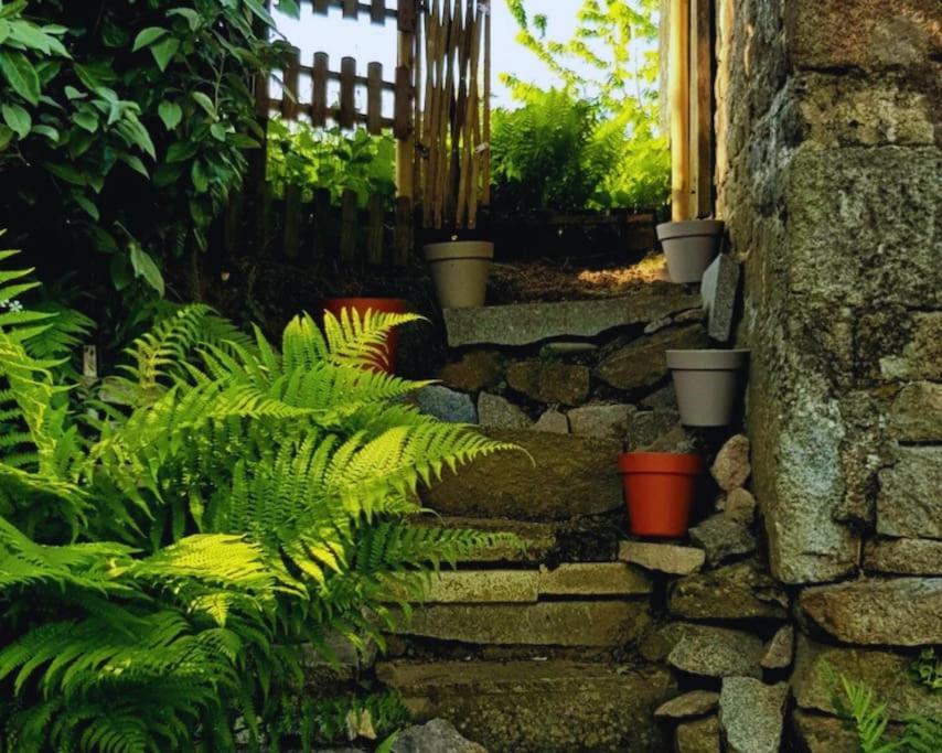 Maison En Pierre Au Milieu Du Bocage Coulouvray-Boisbenâtre Exteriör bild